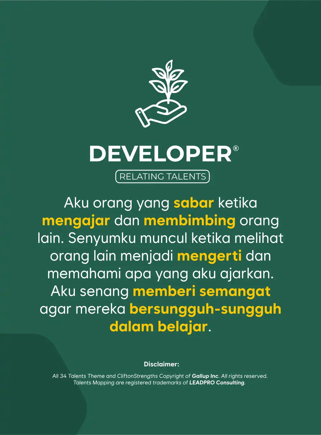 developer